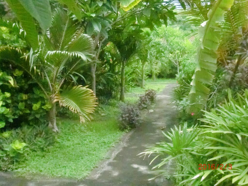 Pondok Aldi Amed Buitenkant foto